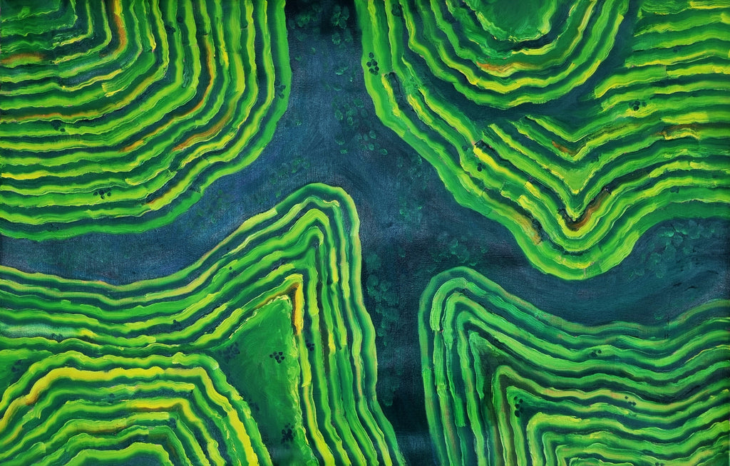 Rice terraces