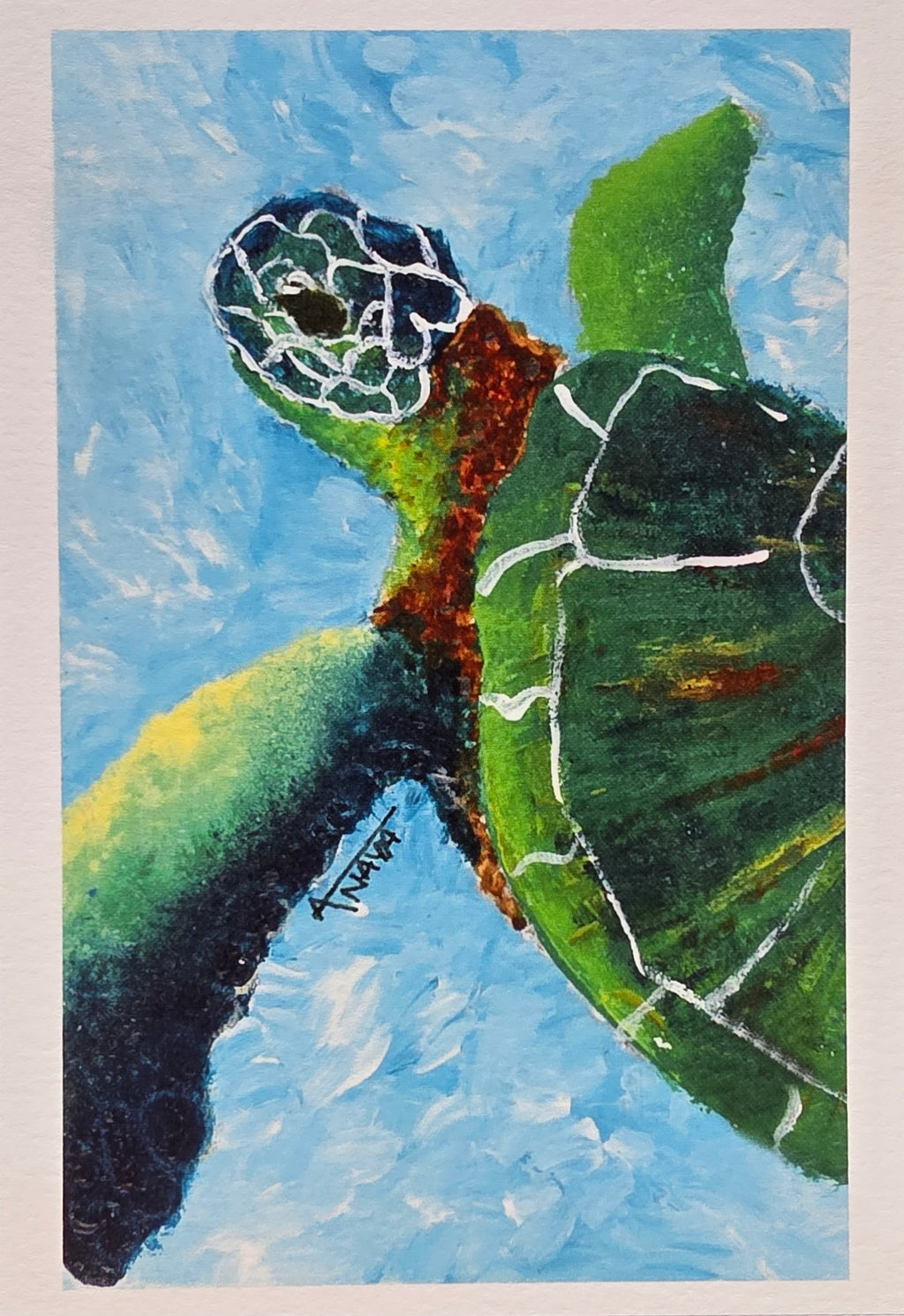 Sea turtle