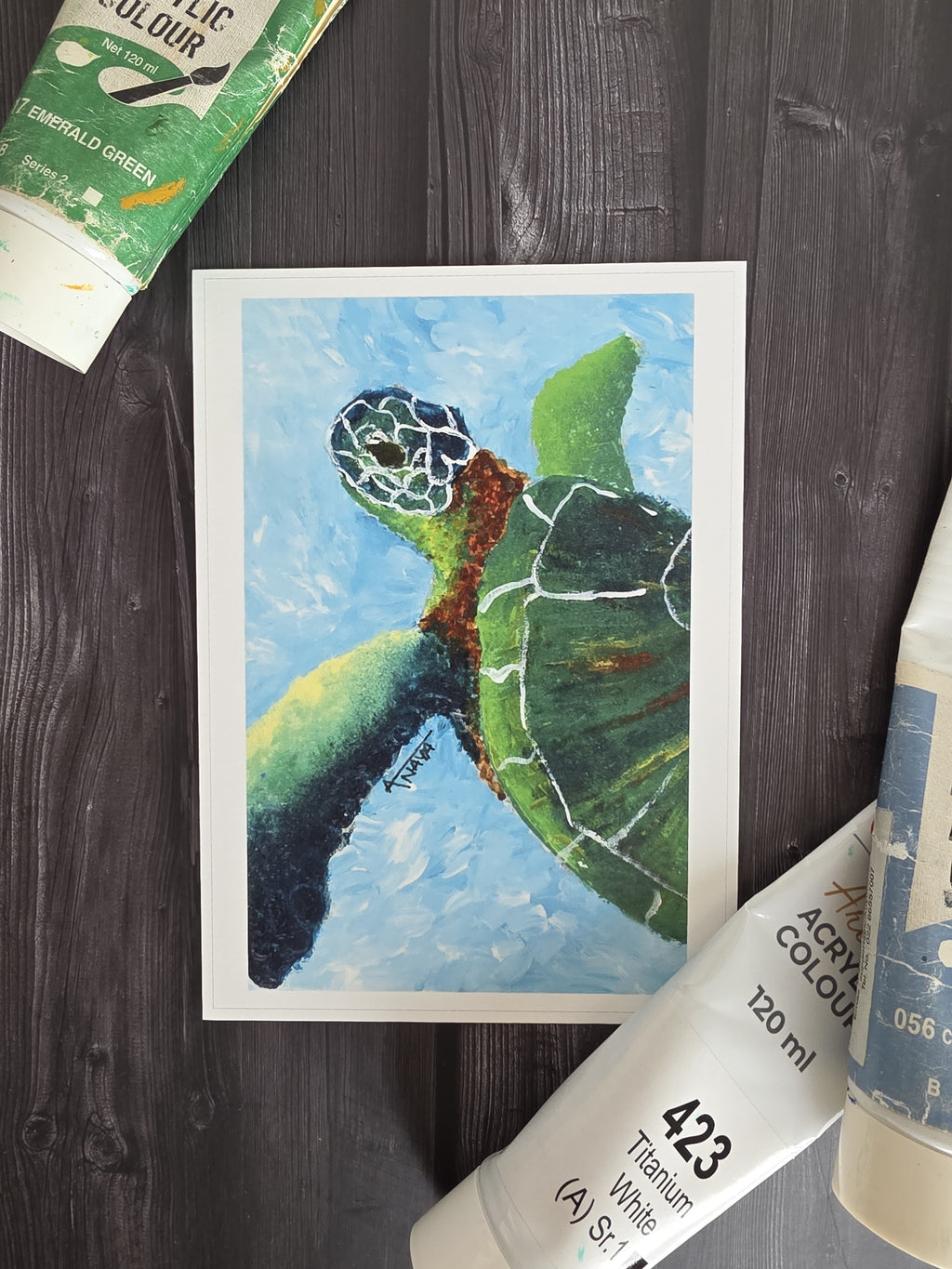 Sea turtle