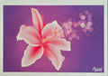 Magic in Lily