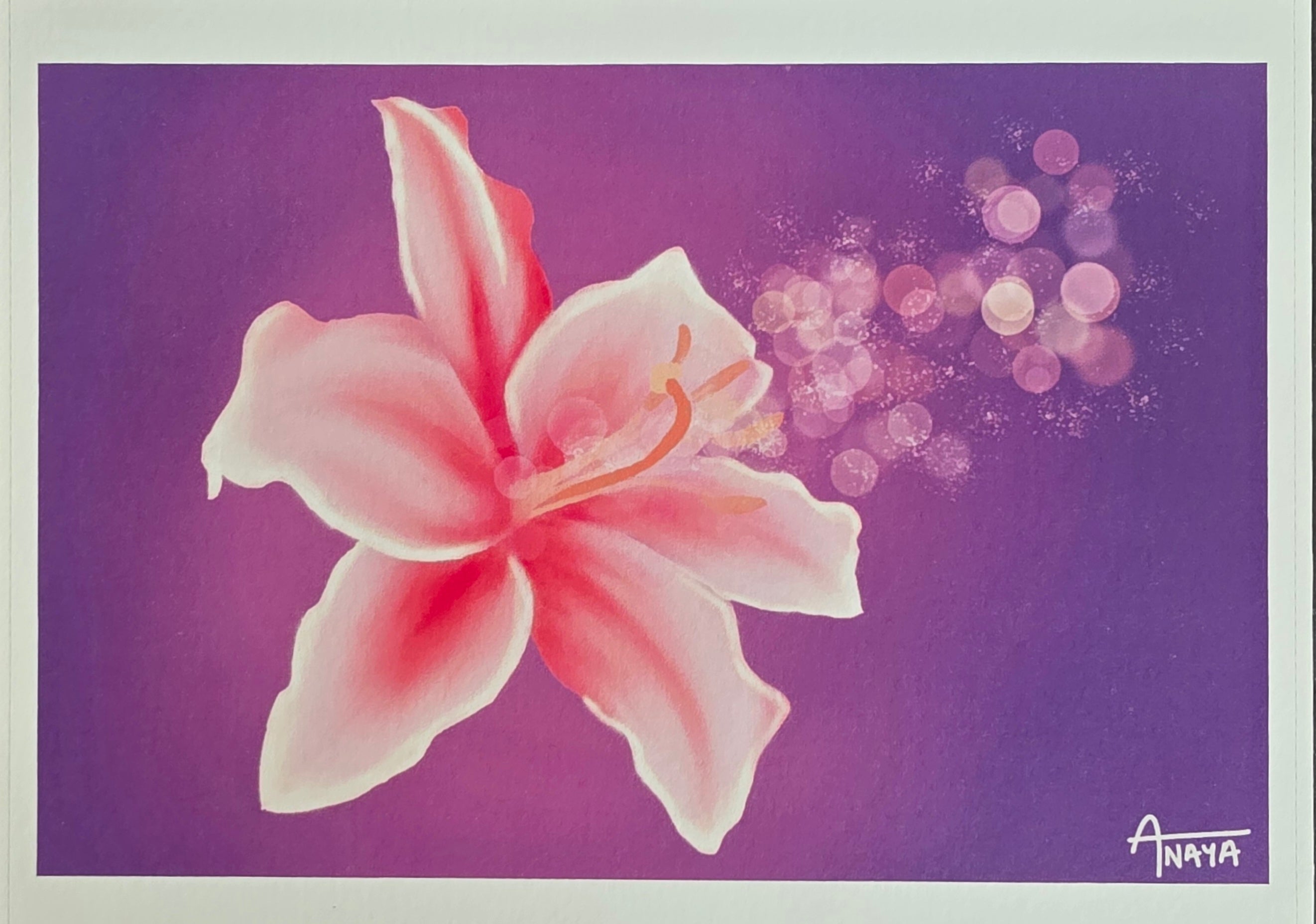 Magic in Lily