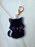 Black cat