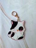 White and black cat
