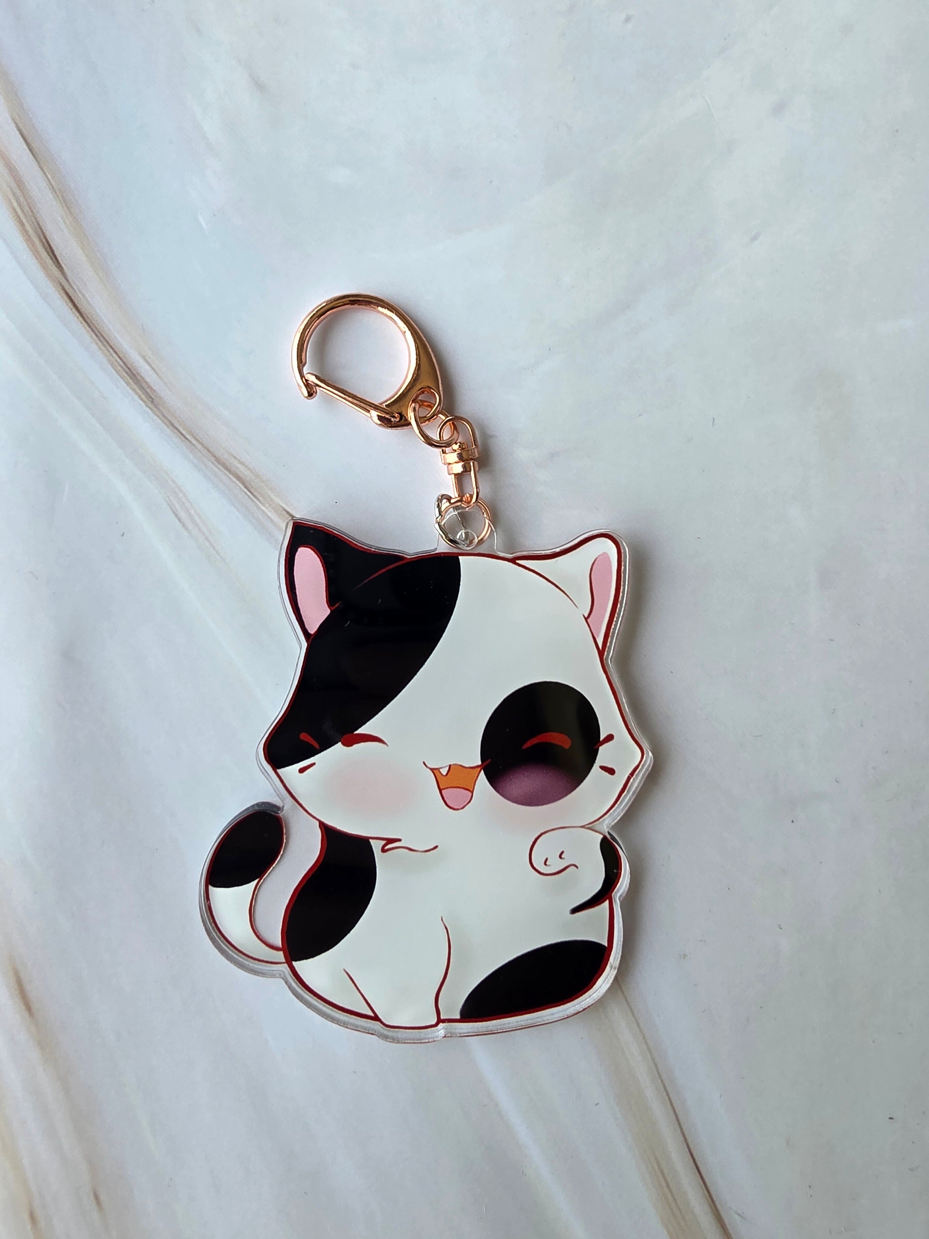 White and black cat