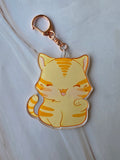 Yellow cat
