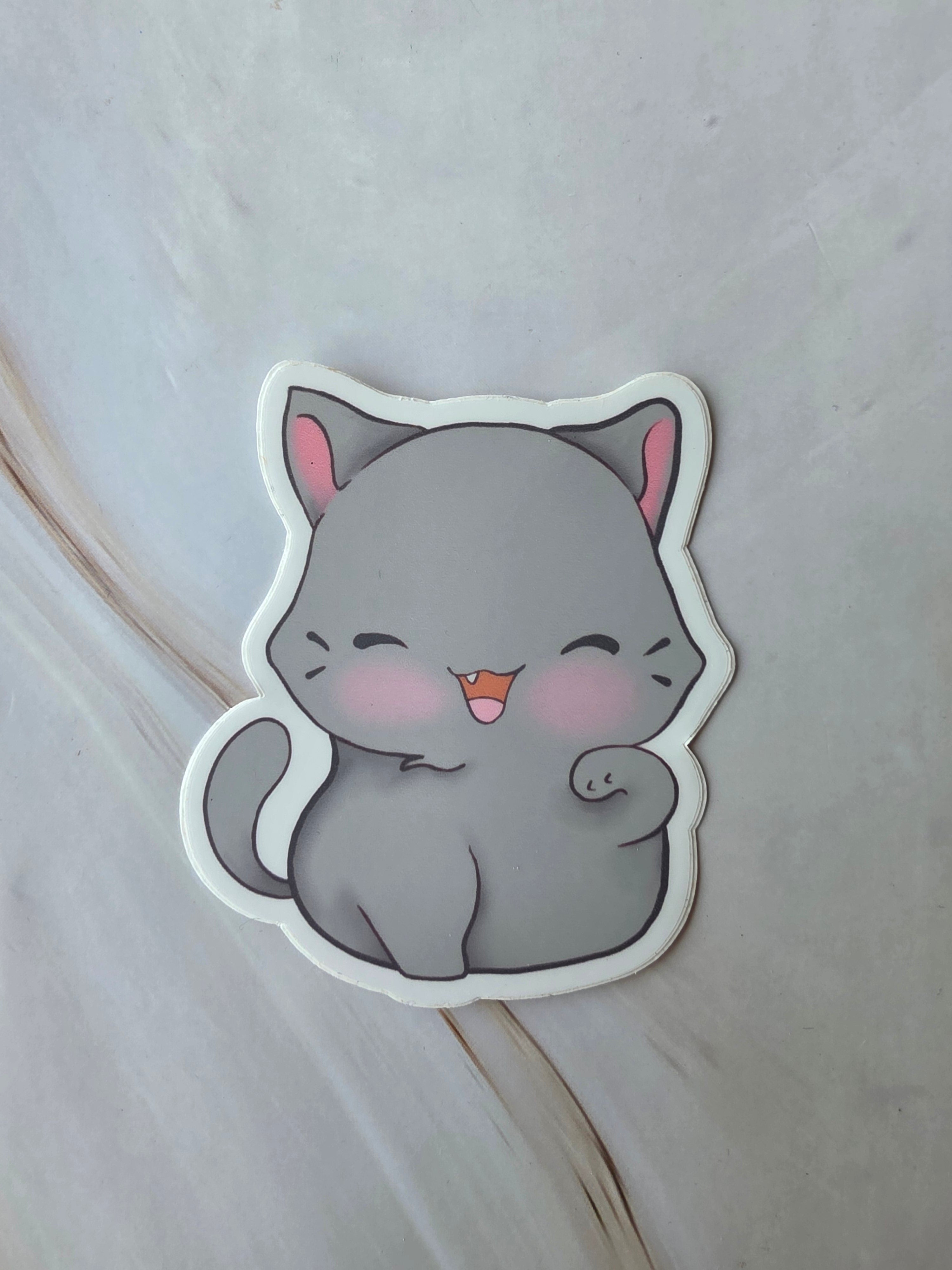 Grey cat