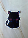 Black cat