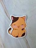 Orange cat