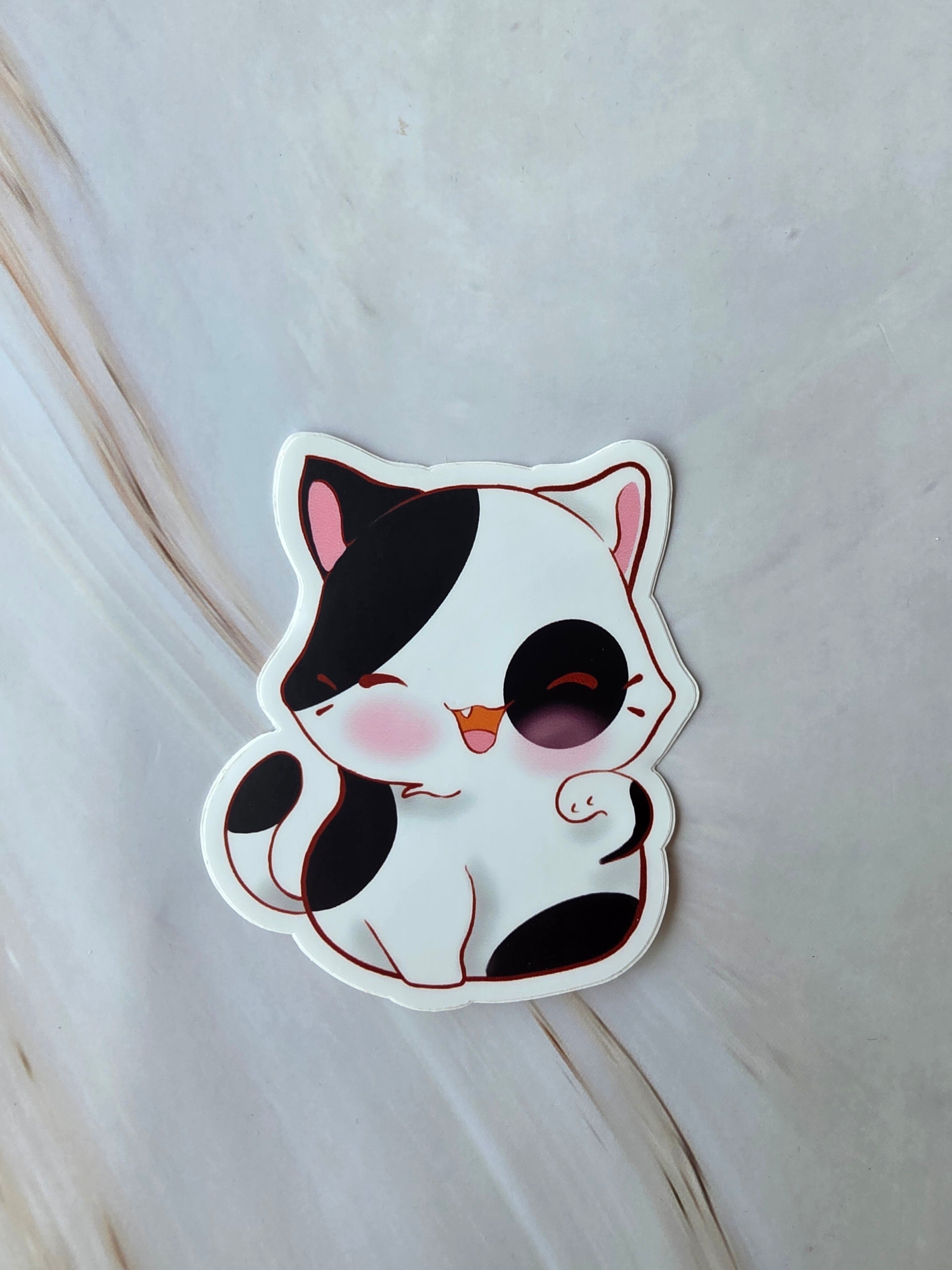 White and black cat