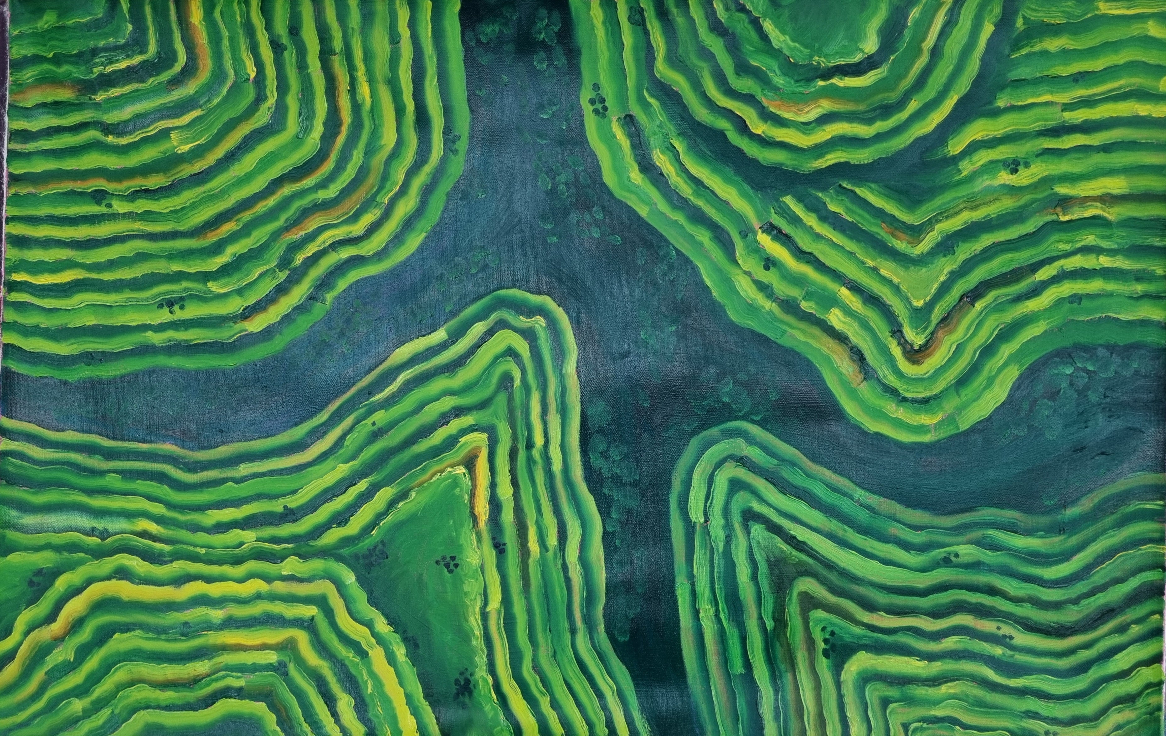 Rice Fields