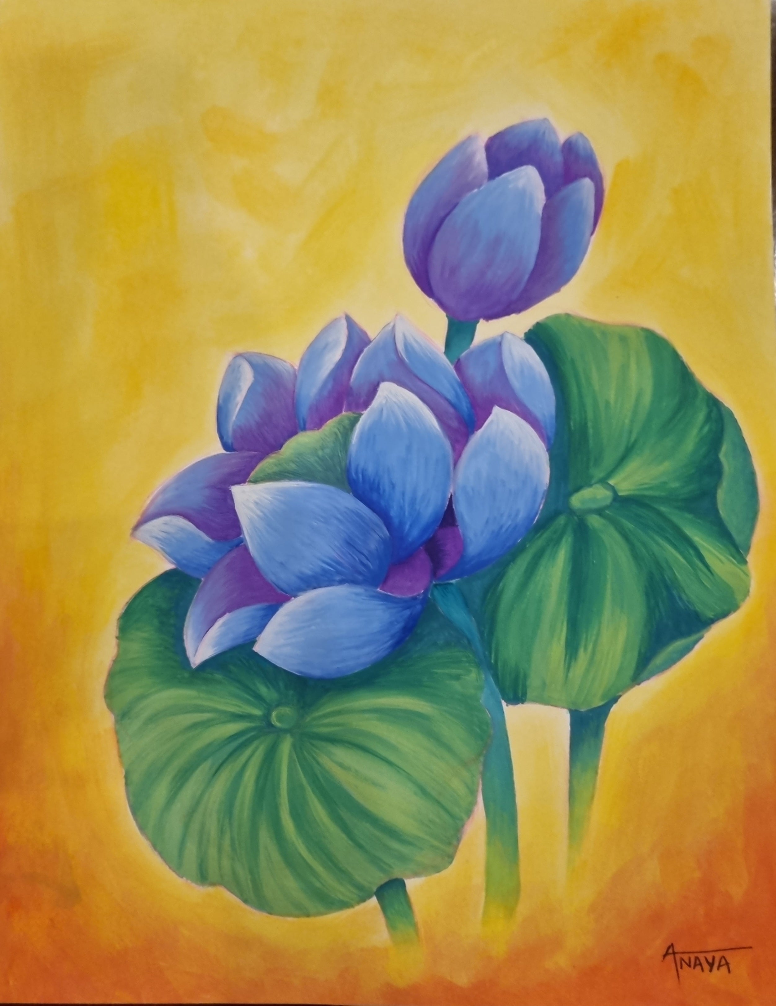 Blue Lotus