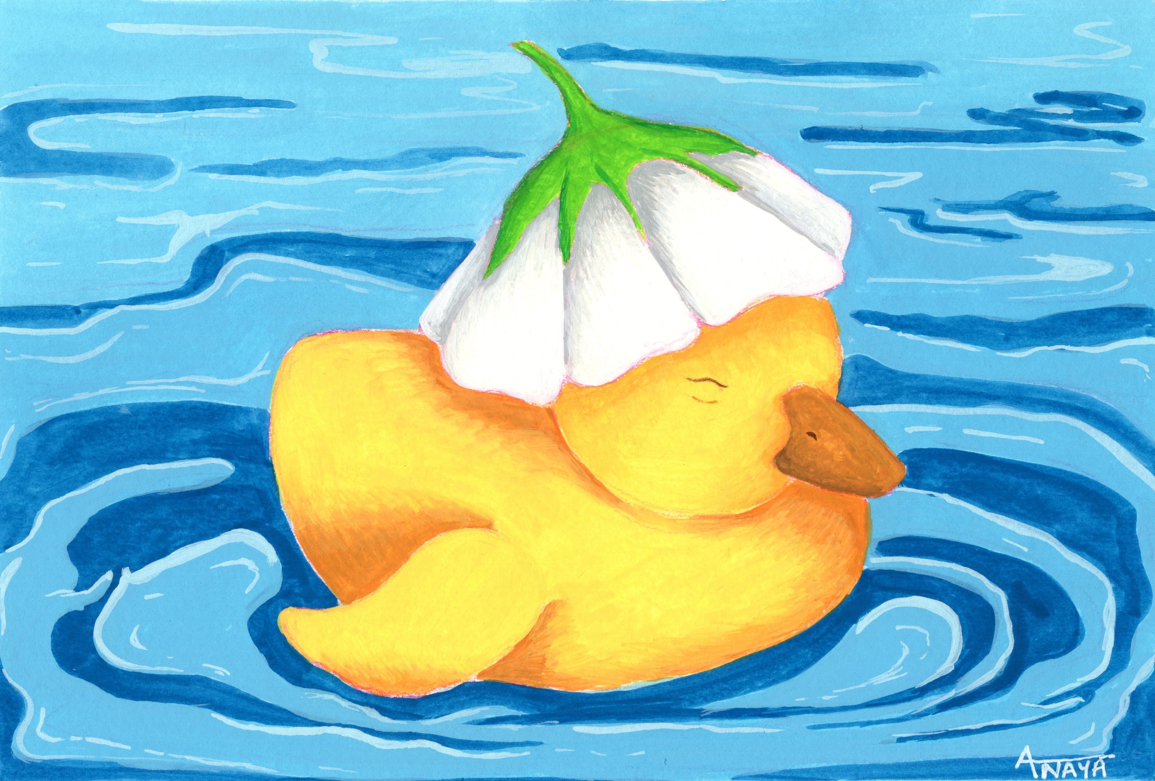 Ducks and Daises
